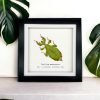 Rusty Green Leaf Insect Frame (Phyllium mamasaense) - TaxidermyArtistry Rusty Green Leaf Insect Frame (Phyllium mamasaense) - TaxidermyArtistry
