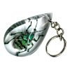 The Teal Weevil Beetle Resin Keyring (Eupholus chevrolati) - TaxidermyArtistry