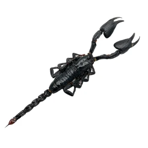 scorpion-heterometrus-cyaneus-469419_1024x1024@2x
