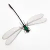 Damselfly (vestalis amoena) Specimen