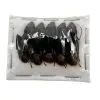 5 x Giant Soldier Forest Ant (Camponotus gigas) Insect - TaxidermyArtistry