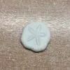 5 x Sand dollar shells [3/4" +] - TaxidermyArtistry