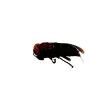 Asian Giant Hornet (Vespa mandarinia 'belladonna') - TaxidermyArtistry