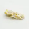 Asian House Shrew Skull Suncus murinus Osteological Specimen - TaxidermyArtistry