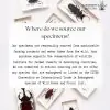Banded Flat Rock Scorpion Hadogenes paucididens - TaxidermyArtistry