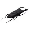 Black Giant Stag Beetle (Dorcus titanus typhon) - TaxidermyArtistry