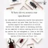 Black Giant Stag Beetle (Dorcus titanus typhon) - TaxidermyArtistry
