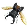 Black Stag Beetle (Dorcus bucephalus) (SPREAD) Insect - TaxidermyArtistry