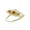 Chinese Rat Snake Skull Ptyas korros - TaxidermyArtistry