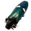 Dark Green Metallic wood-boring Beetle (Megaloxantha bicolor assamensis) - TaxidermyArtistry