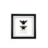 Double Tropical Carpenter Bee Female and Male (Xylocopa latipes) Frame - TaxidermyArtistry