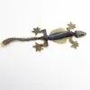Flying Gecko Lizard SP (Ptychozoon kuhli) from Indonesia - TaxidermyArtistry