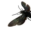 Giant Iridescent Hornet (Megascolia velutina duclais) - TaxidermyArtistry