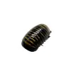 Giant Pill Millipede (Sp8) - TaxidermyArtistry