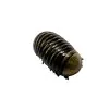 Giant Pill Millipede (Sp8) - TaxidermyArtistry