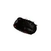 Giant Pill Millipede (Sp8) - TaxidermyArtistry