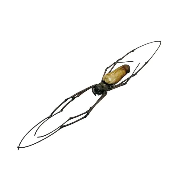 Giant Wood Spider Nephila Pilipes - TaxidermyArtistry