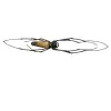 Giant Wood Spider Nephila Pilipes - TaxidermyArtistry