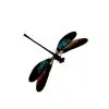 Gossamerwing Damselfly (Euphea variegata) - TaxidermyArtistry
