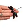 Gossamerwing Damselfly (Euphea variegata) - TaxidermyArtistry
