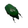 Green Spotted Scarab Beetle (Dymusia variabilis) - TaxidermyArtistry