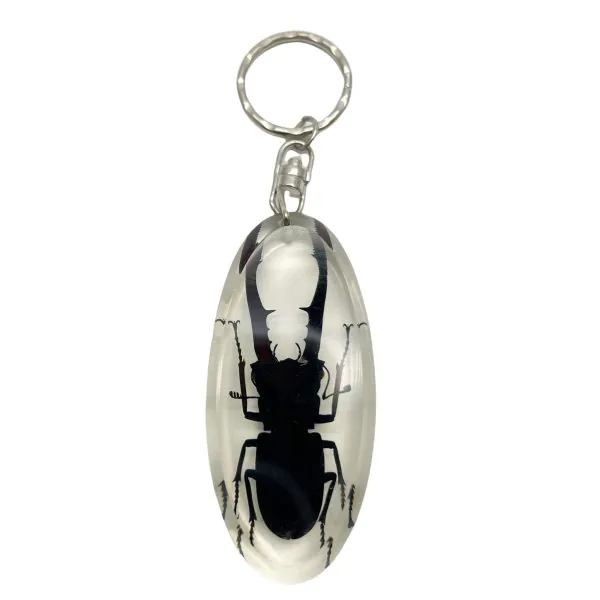 Keyring Resin Longjaw Beetle (Cyclommatus metallifer) Entomology Insect - TaxidermyArtistry