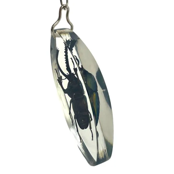 Keyring Resin Saw Tooth Stag Beetle Lamprima Adolphinae Entomology Insect - TaxidermyArtistry