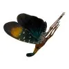 Lanterfly (Pyrops gunjii) - TaxidermyArtistry