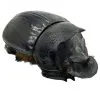 Large Dung Beetle (Heliocopris bucephalus) (PAIR) - TaxidermyArtistry