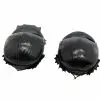 Large Dung Beetle (Heliocopris bucephalus) (PAIR) - TaxidermyArtistry