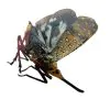 Leafhopper Lanternfly (Saiva Bullata) - TaxidermyArtistry