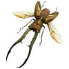 Longjaw Beetle Cyclommatus metallifer (SPREAD) (HUGE) - TaxidermyArtistry