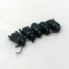 Lot of 5 GIANT Frog-Beetle Sagra Femoralis - TaxidermyArtistry