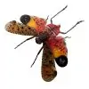 Orange Lantern Fly (Penthicodes pulchella) Bug - TaxidermyArtistry