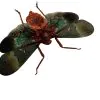 Oriental Lantern Fly (Scamandra castanea) - TaxidermyArtistry