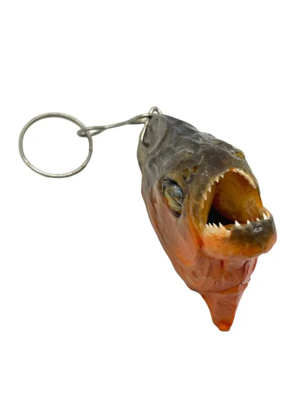 Predator Piranha Head Keyring (Pygocentrus nattereri) - TaxidermyArtistry