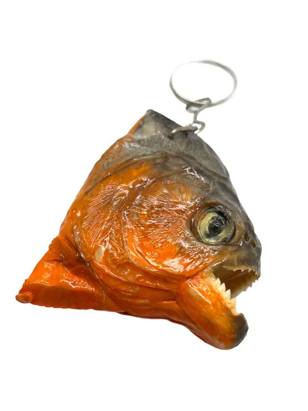 Predator Piranha Head Keyring (Pygocentrus nattereri) - TaxidermyArtistry