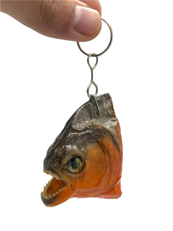 Predator Piranha Head Keyring (Pygocentrus nattereri) - TaxidermyArtistry