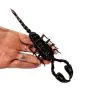 Scorpion (Heterometrus Laoticus) - TaxidermyArtistry