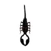 Scorpion (Heterometrus Laoticus) - TaxidermyArtistry