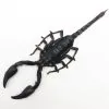 Scorpion Heterometrus Liophysa - TaxidermyArtistry