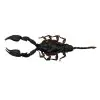 Taxidermy Wood Forest Scorpion Specimen - TaxidermyArtistry