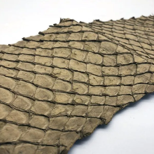 Yellow Dyed Handmade Pirarucu Arapaima Amazon Peruvian Leather - TaxidermyArtistry