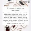 The Five-Horned Rhinoceros Beetle (Eupatorus gracilicornis) - TaxidermyArtistry